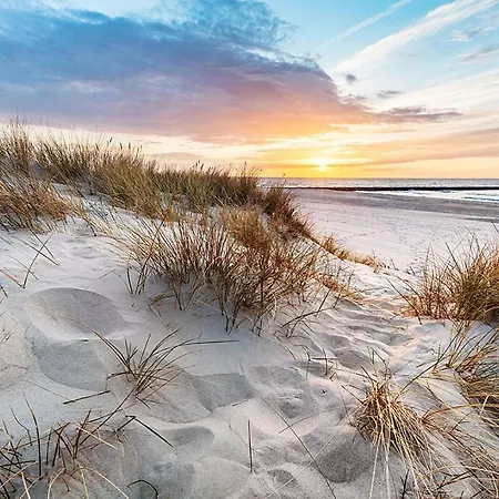 Glamour Apartamento Palanga